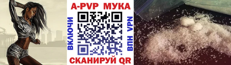 OMG tor  Кудрово  APVP СК 