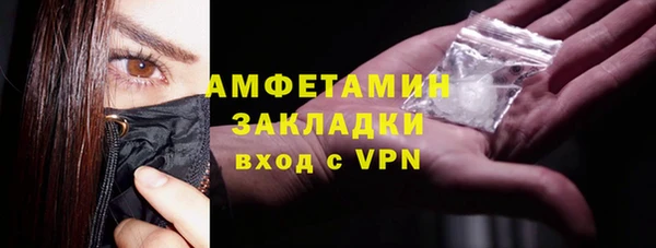 шишки Снежногорск