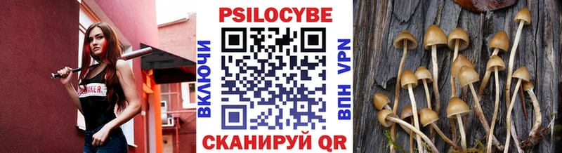Галлюциногенные грибы Psilocybine cubensis  Кудрово 